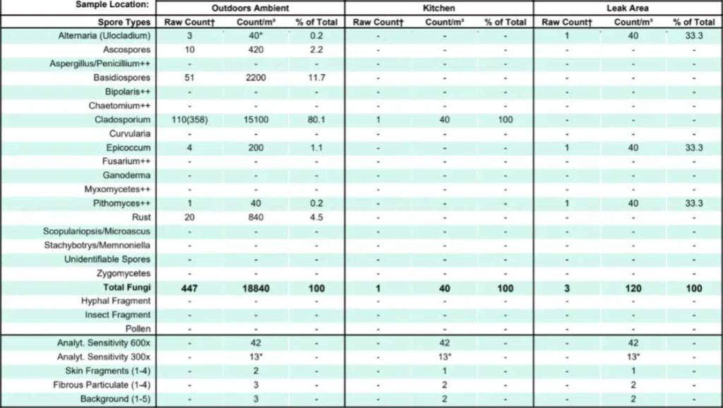 Fungal spore counts in different home areas chart.